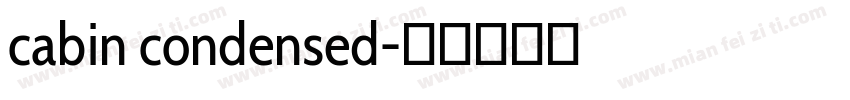 cabin condensed字体转换